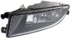 Picture of Fog Light
