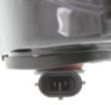 Picture of Fog Light