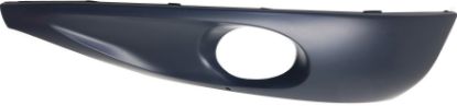 Picture of Fog Light Trim