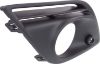 Picture of Fog Light Trim