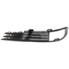 Picture of Fog Light Trim