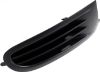 Picture of Fog Light Cover