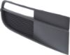 Picture of Fog Light Cover