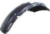 Picture of Fender Liner