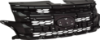 Picture of Grille Assembly