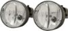 Picture of Fog Light