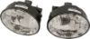 Picture of Fog Light