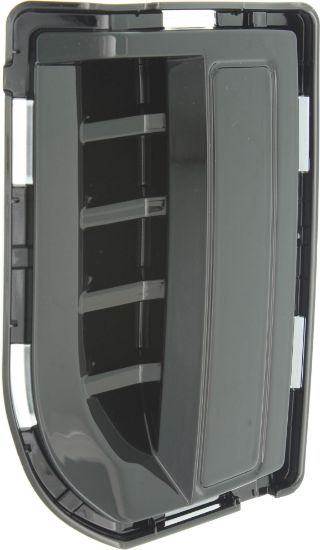 Picture of Fog Light Cover