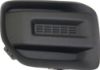Picture of Fog Light Cover