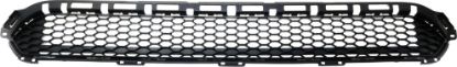 Picture of Bumper Grille