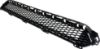 Picture of Bumper Grille