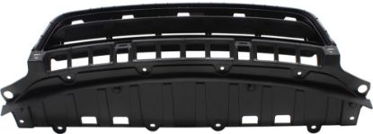 Picture of Bumper Grille