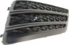 Picture of Bumper Grille