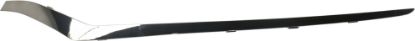 Picture of Bumper Trim