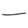 Picture of Bumper Trim