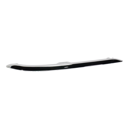 Picture of Bumper Trim