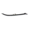 Picture of Bumper Trim