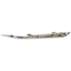 Picture of Bumper Trim