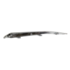 Picture of Bumper Trim