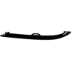 Picture of Bumper Trim