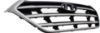 Picture of Grille Assembly