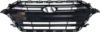 Picture of Grille Assembly