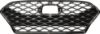 Picture of Grille Assembly