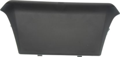 Picture of Grille Trim