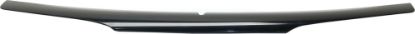 Picture of Grille Trim