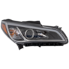 Picture of Headlight