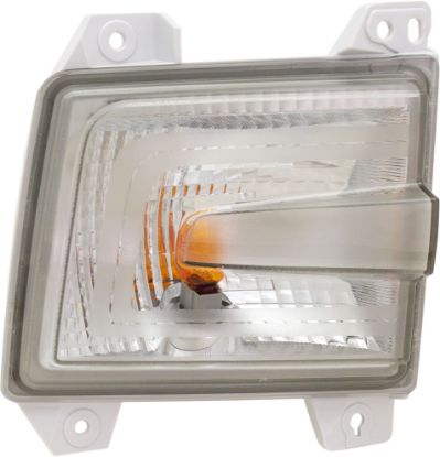 Picture of Turn Signal Light