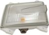 Picture of Turn Signal Light