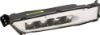 Picture of Fog Light