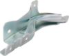 Picture of Hood Hinge
