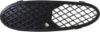 Picture of Bumper Grille