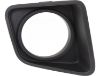 Picture of Fog Light Trim