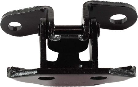 Picture for category RT Rear door hinge