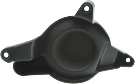Picture of Fog Light Cover