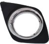 Picture of Fog Light Trim