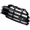 Picture of Bumper Grille