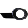 Picture of Fog Light Trim