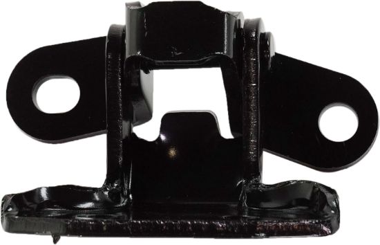 Picture of Door Hinge