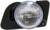 Picture of Fog Light