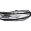 Picture of Mirror Turn Signal Light