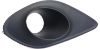 Picture of Fog Light Trim