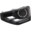Picture of Fog Light Cover