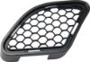 Picture of Bumper Grille