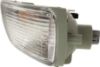 Picture of Turn Signal Light