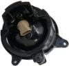 Picture of Fog Light