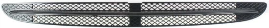 Picture of Bumper Grille